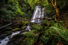 Matai Falls-3