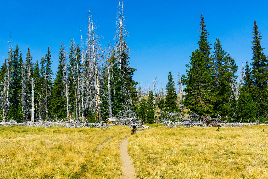 Metolius-Windigo Trail #99