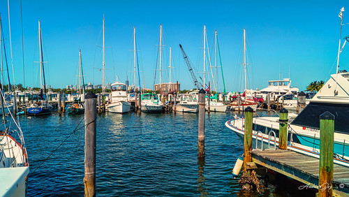 miami florida unitedstates coconutgrove miamifl marina sailboats yachts urbanexploration walkingaround waterways bayview biscaynebay outdoors blue