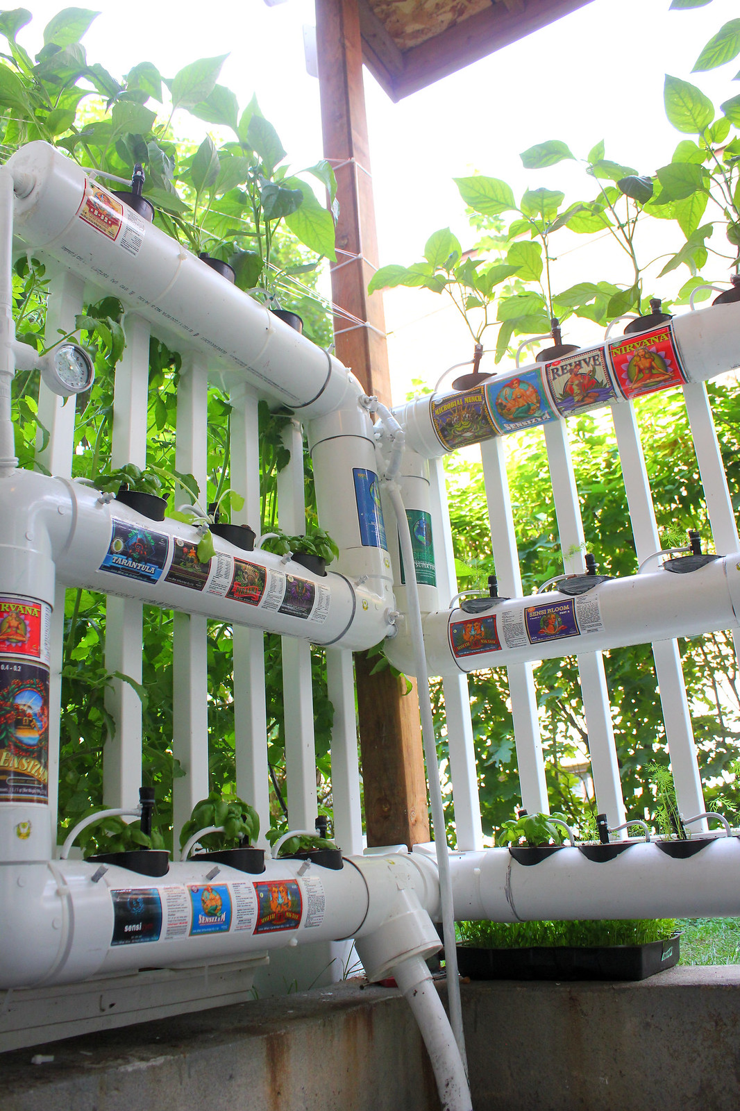 Outdoor hydroponics