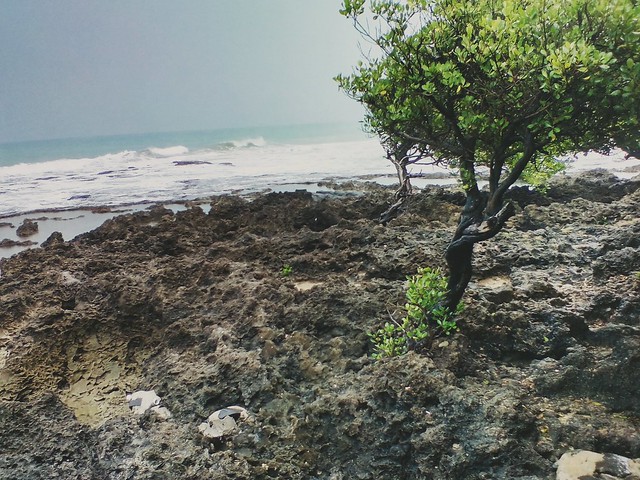 #Beach #MasyaAllah #creationOfGod #ekArt18 #ekArt01