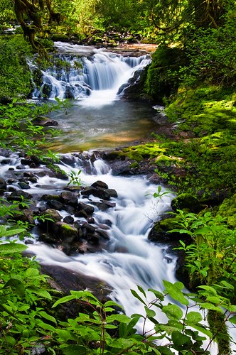 creek hiking karl landscape oregon rapids travel water waterfall newport usa