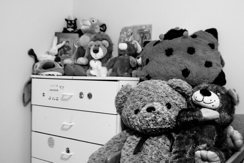 Stuffed | by focalfotos
