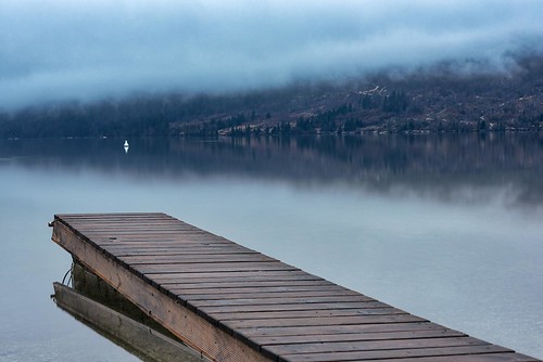 landscape outdoors noperson forest pond longexposure pier morning fog mist travel bohinj slovenia europe nikon nikond750 nikkor283003556 gazzda hrvojesimich