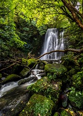 Matai Falls-4