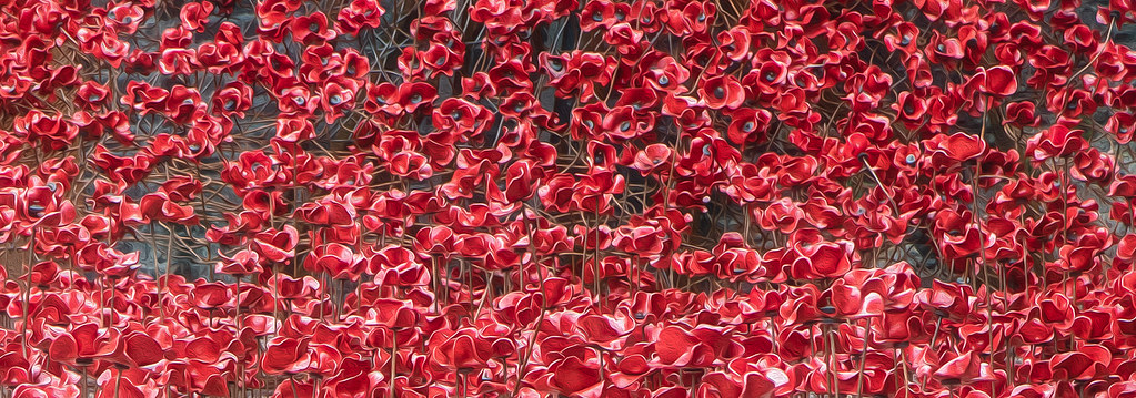 Weeping Window Poppy Display - Middleport Pottery