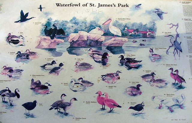 St James's Park, London, England - Waterfowl plaque - March 3rd 2007