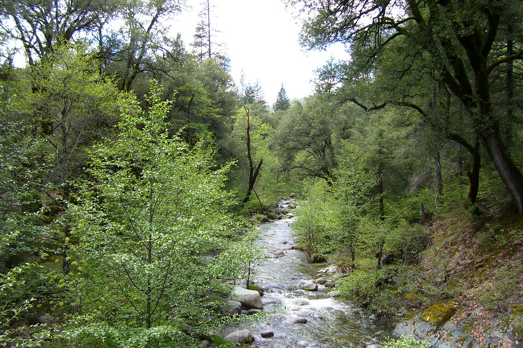 Davis Gulch Trail