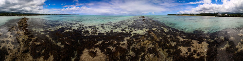 water coral samoa beach clouds tropical island