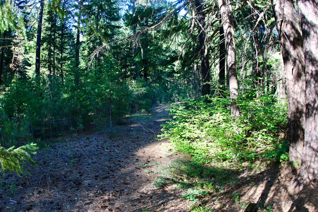 UNION CREEK CG NORDIC