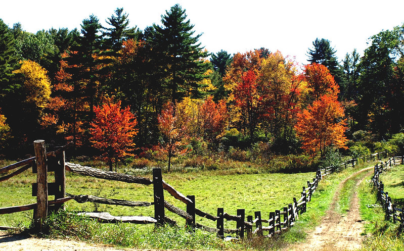 Sturbridge, along the trail