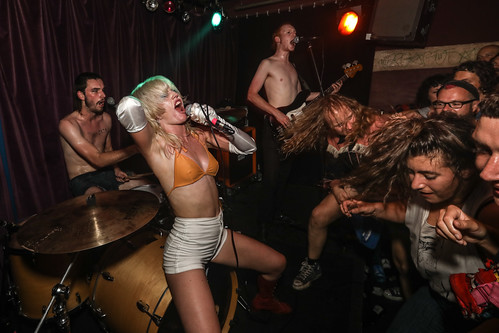 amyl & the sniffers