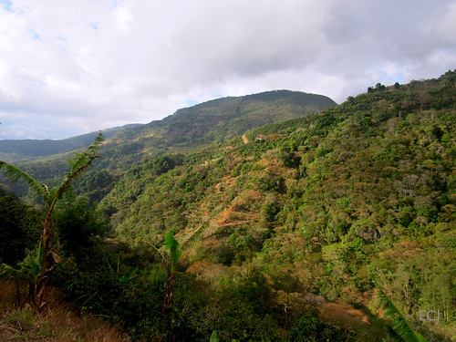 nubes vegetación naturaleza campo rural caminata valle colina camino ladera pendiente