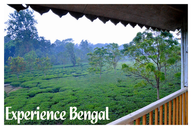 Experience Bengal - Monsoon Magic at Dooars