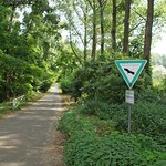 Der Senfweg führt mitten in das Naturschutzgebiet Worringer Bruch