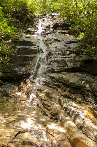 jones gap the south carolina forest woods outdoor landscape water stream middle saluda waterfall