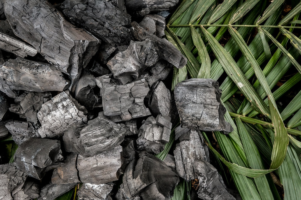 Informal charcoal production near Yangambi, DRC.
