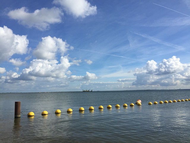 Looking out across the Markermeer