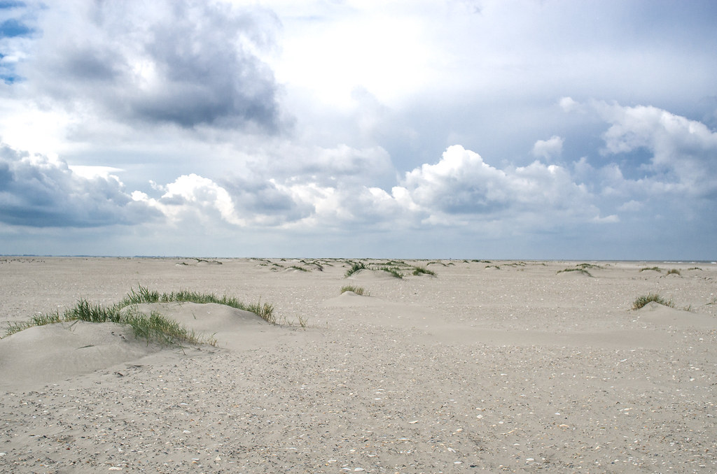 Primary dunes
