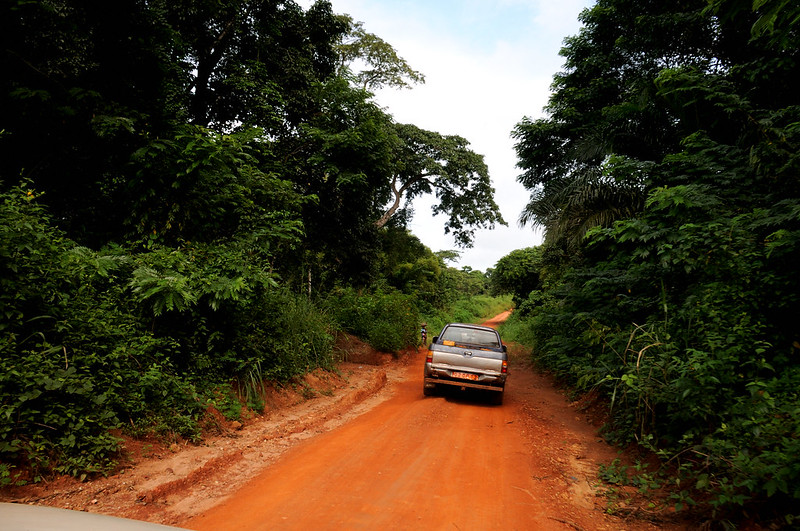 NDIMA NABONÉ (La selva es la madre) - Blogs de Centro Africa R. - 3.- EN RUTA HACIA BAYANGA (1)