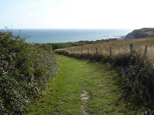 On the cliffs Hastings to Winchelsea via Three Oaks walk