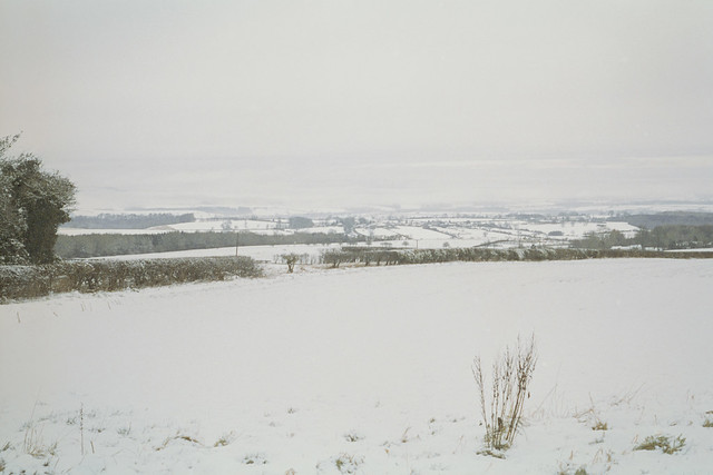 Winter Moors