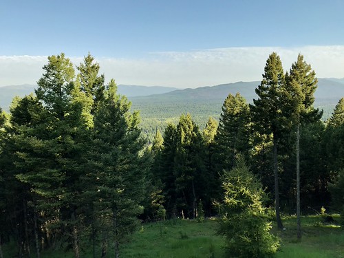 Montana Cabin View by TagDragon, view roadtrip vacation 2018