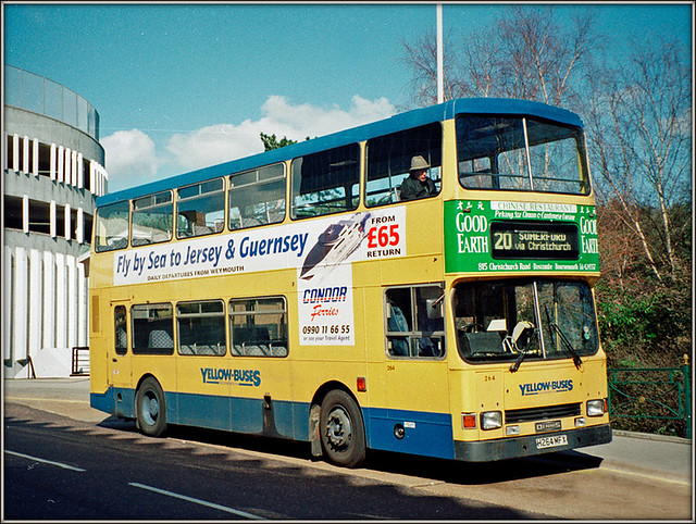 Yellow Buses 264