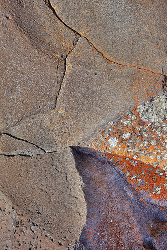 eechillington nikond7500 utah thespiraljetty hiking patterns texture nature rock lichen viewnxi corelpaintshoppro abstract explored