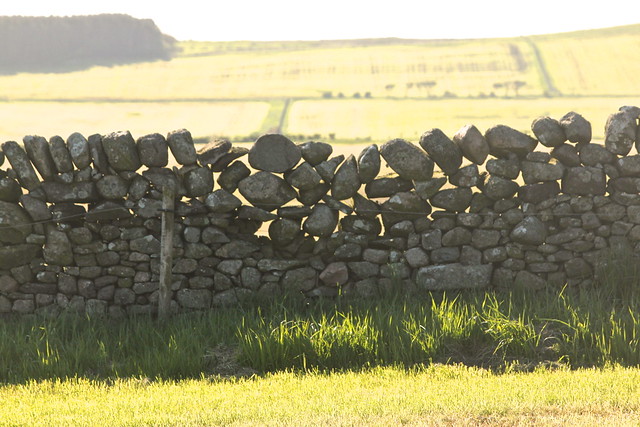 Old stone wall, Scotland
