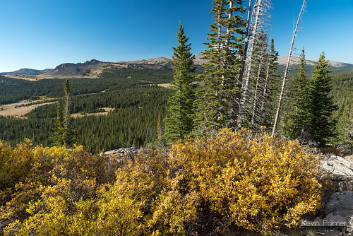 bighornmountains bighornnationalforest wyoming september fall autumn nikond750 hessemountain blue sky sunny color colorful foliage yellow gold golden trees tamron2470mmf28 powderriverpass circularpolarizer scenic view