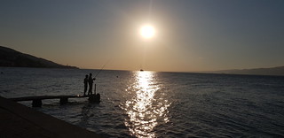 Fishing the sun light