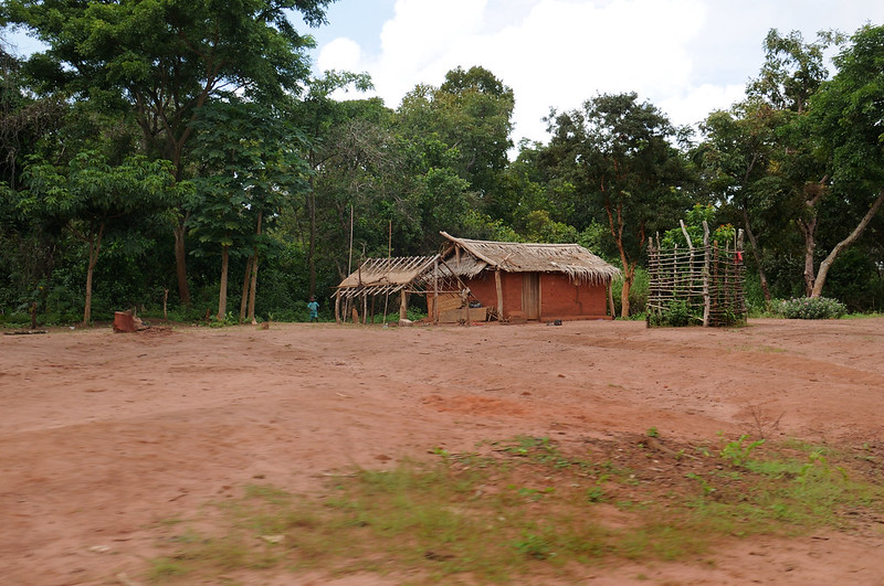 NDIMA NABONÉ (La selva es la madre) - Blogs de Centro Africa R. - 3.- EN RUTA HACIA BAYANGA (2)
