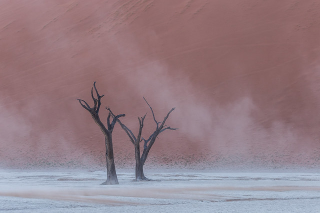 Deadvlei during a sandstorm