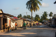 Zanzibar village stree