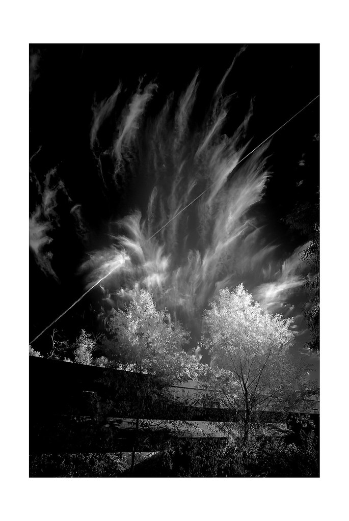 Infra Red with Nikon D200 from the North Texas Scenery Series.