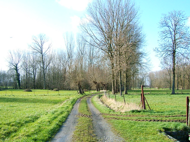 Field road near Wolvertem