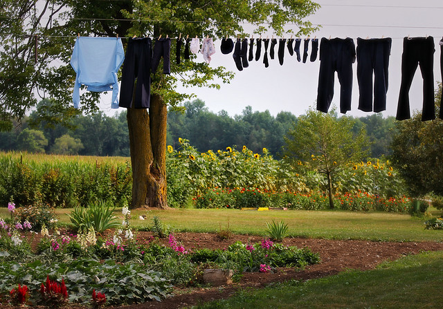 Laundry Day Mennonite Farm- Arthur, Ontario