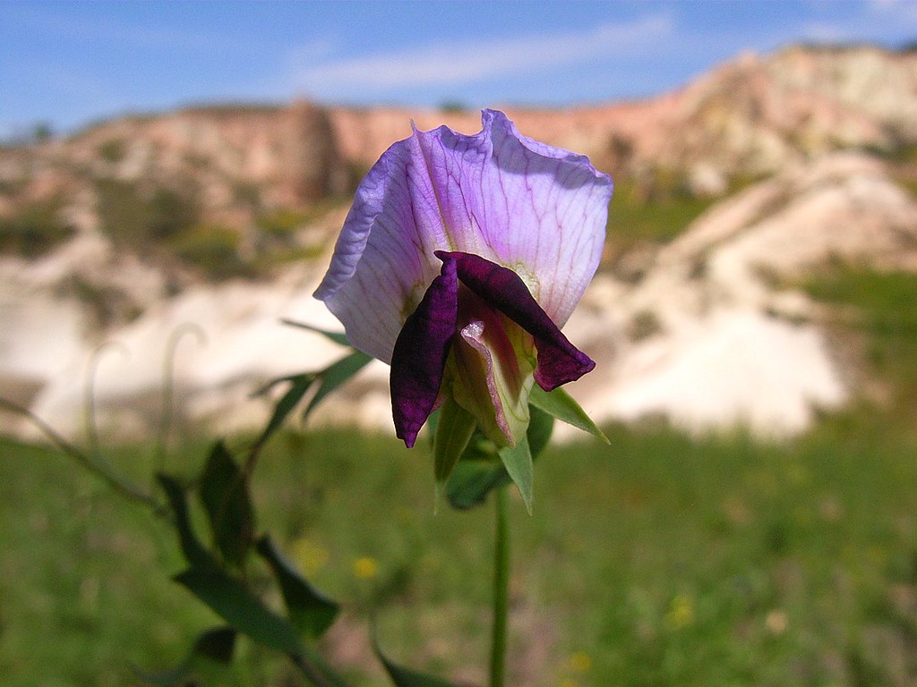 19mei 2007 076