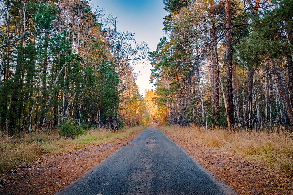 Autumn Stage Rd Road to Autumn... | David Rogers | Flickr