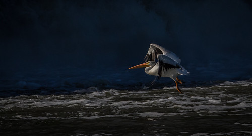 White Water Willy | by skram1v