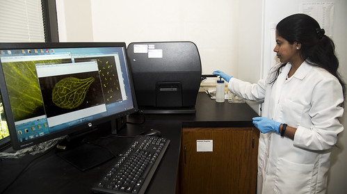 Plant-Insect Interactions | by Ark. Agricultural Experiment Station