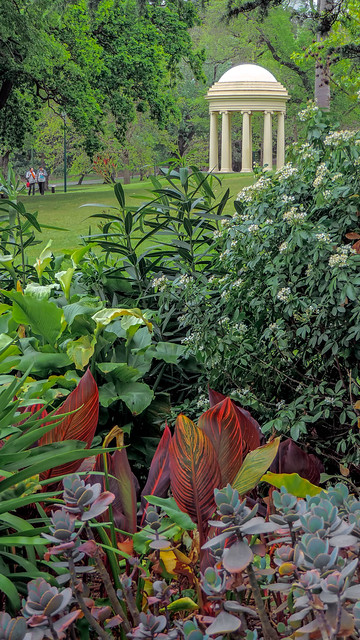 Fitzroy Gardens - SPRING COLOUR . FOILAGE & FOLLY   ( #590 in series ) Melbourne AU 23Oct2014 sRGB web