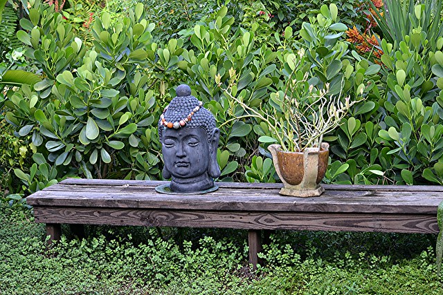 Buddha watches over our Japanese Garden