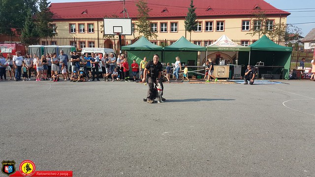40597839_272456750243478_1515860702273732608_n