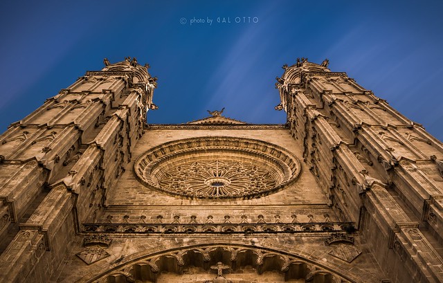 Cathedral of Palma: La Seu