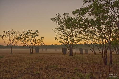 australia northernterritory nt litchfieldnationalpark lnp landscape termite