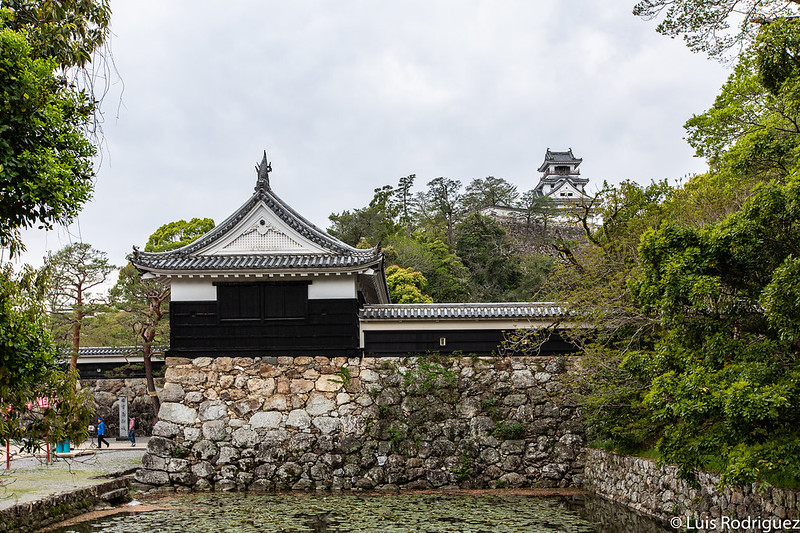 El castillo de Kochi