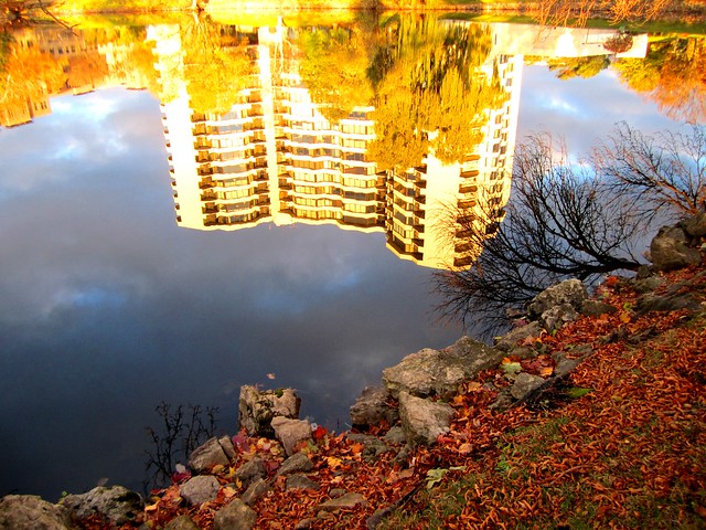 high rise reflecting at the shore