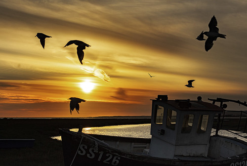 penclawdd gower sunset silhouettes seagulls boat river people throwing away chips